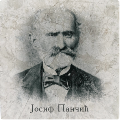 Josif Pančić